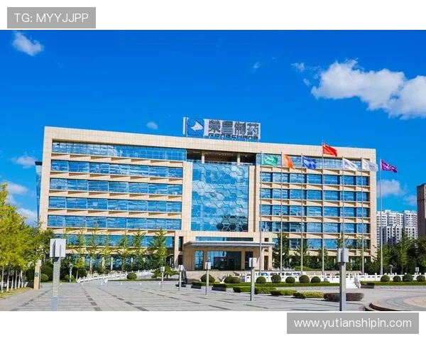 凯发k8一触即发怎么样了解平台的未来发展方向与创新措施