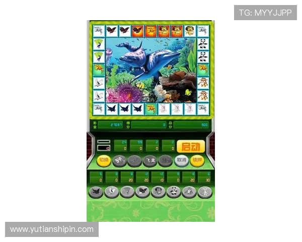 凯发金鲨银鲨游戏中的常见误区及避免方法帮助玩家少走弯路