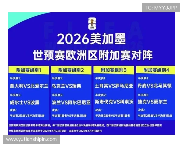2026年瑞士vs波黑世界杯直播详细赛况分析与比赛亮点解读